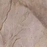 Wild Forest Grey Pol Mix